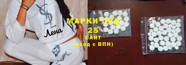 стафф Алзамай