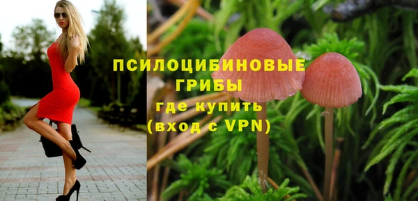 spice Алексин