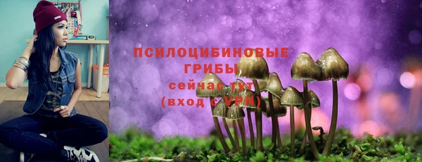 ECSTASY Алексеевка
