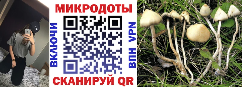 Купить  Мостовской  Псилоцибиновые грибы MAGIC MUSHROOMS 